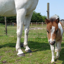 Jim & Speedy @ Fishers Farm